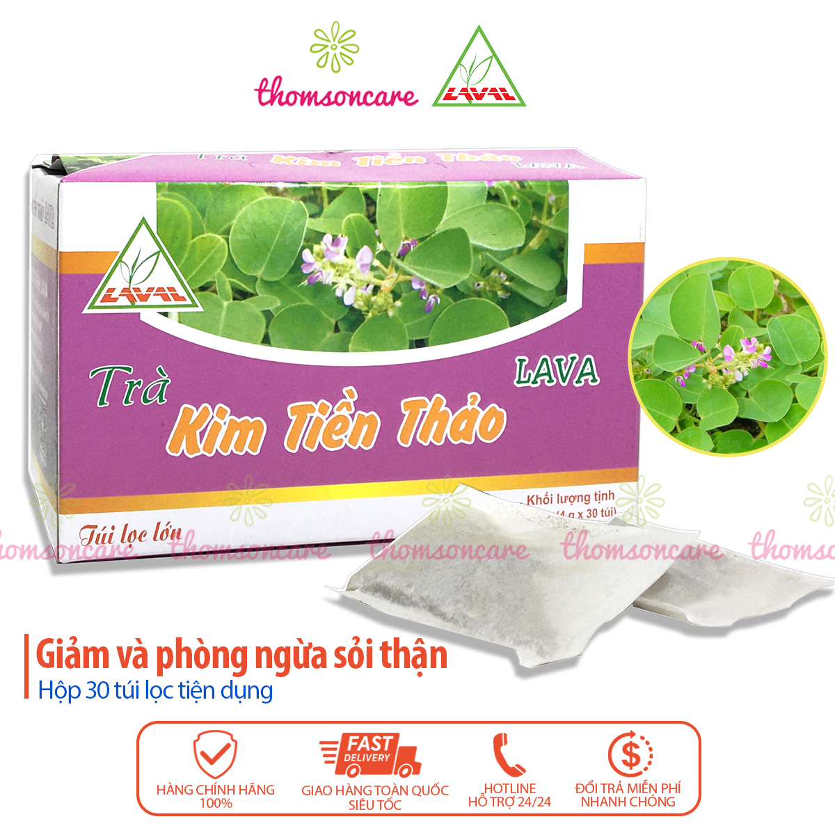 Trà kim tiền thảo Lava hộp 30 túi lọc, hỗ trợ giảm sỏi thận, túi mật, sỏi bàng quang, tiết niệu từ thảo dược