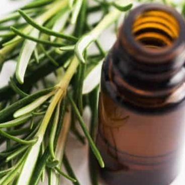 Tinh dầu tràm (10ml) - Sát khuẩn, chống cảm, ức chế virus