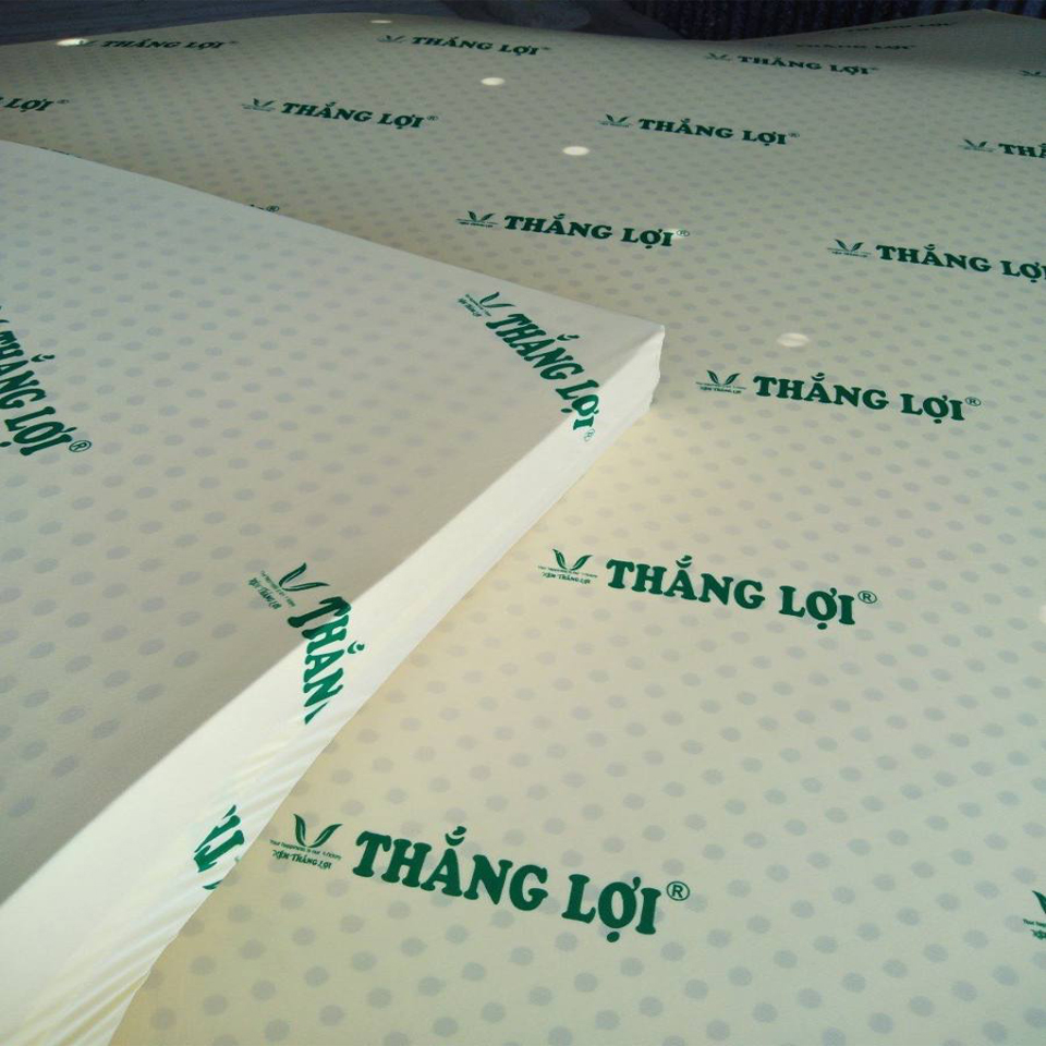 Nệm thắng lợi cao su non cao cấp thoáng mát nhiều kích thước