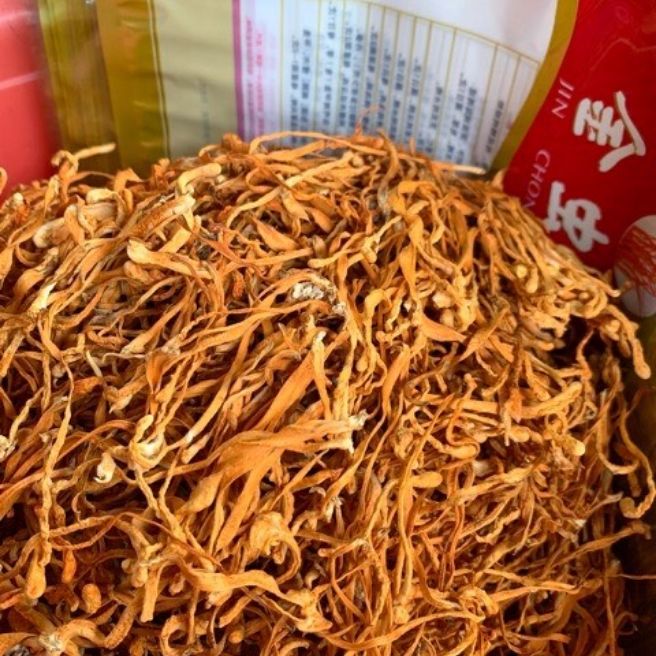 Nấm đông trùng thảo 100gr