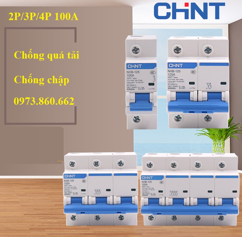 Aptomat tép mcb 2p 3p 4p 100a chint nxb-125 c100a 10ka