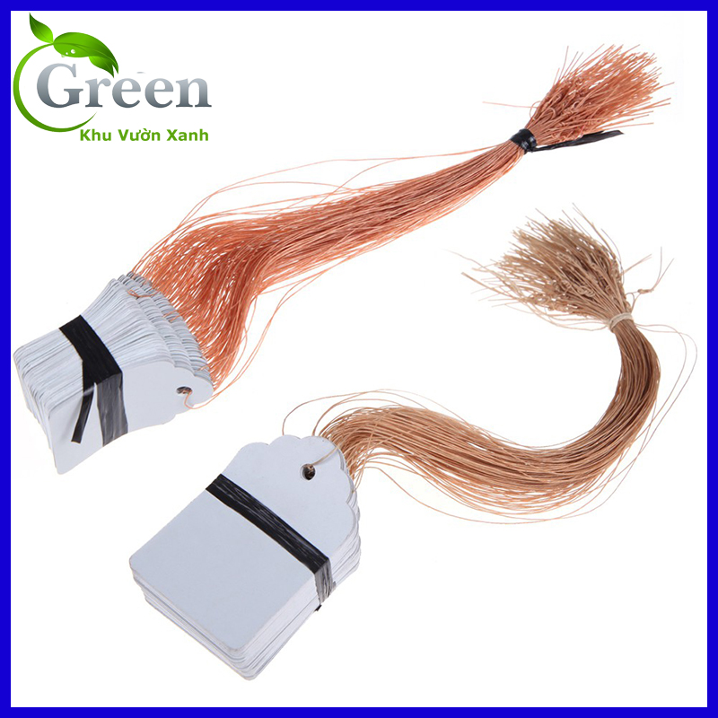 Set 100 thẻ tag ghi tên (có dây treo) đánh dấu cây trồng, tài liệu bằng nhựa chống thấm nước 4.5 x 3 cm