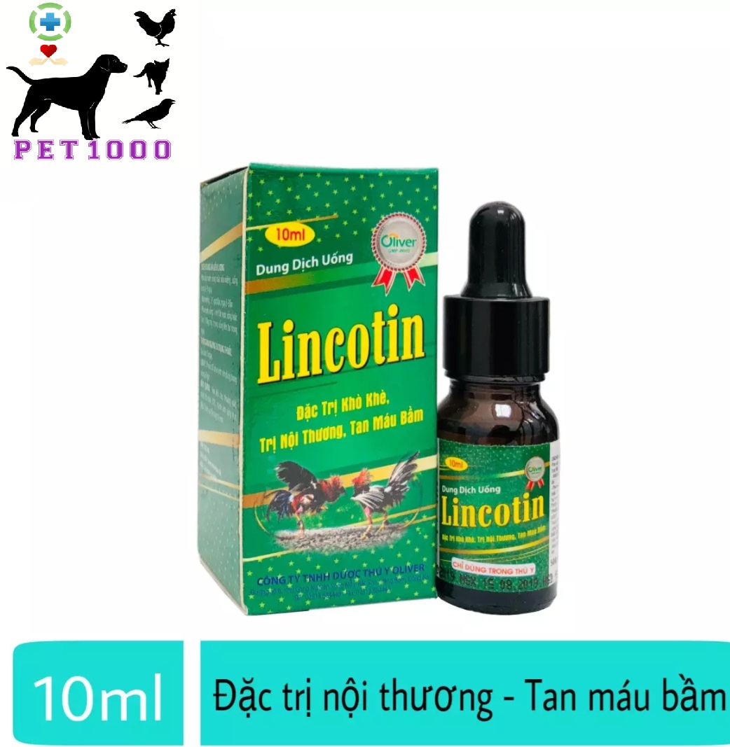 LINCOTIN 10ml Tự Tin Hết bệnh hô hấp, viêm ruột, co giật cho gà đá
