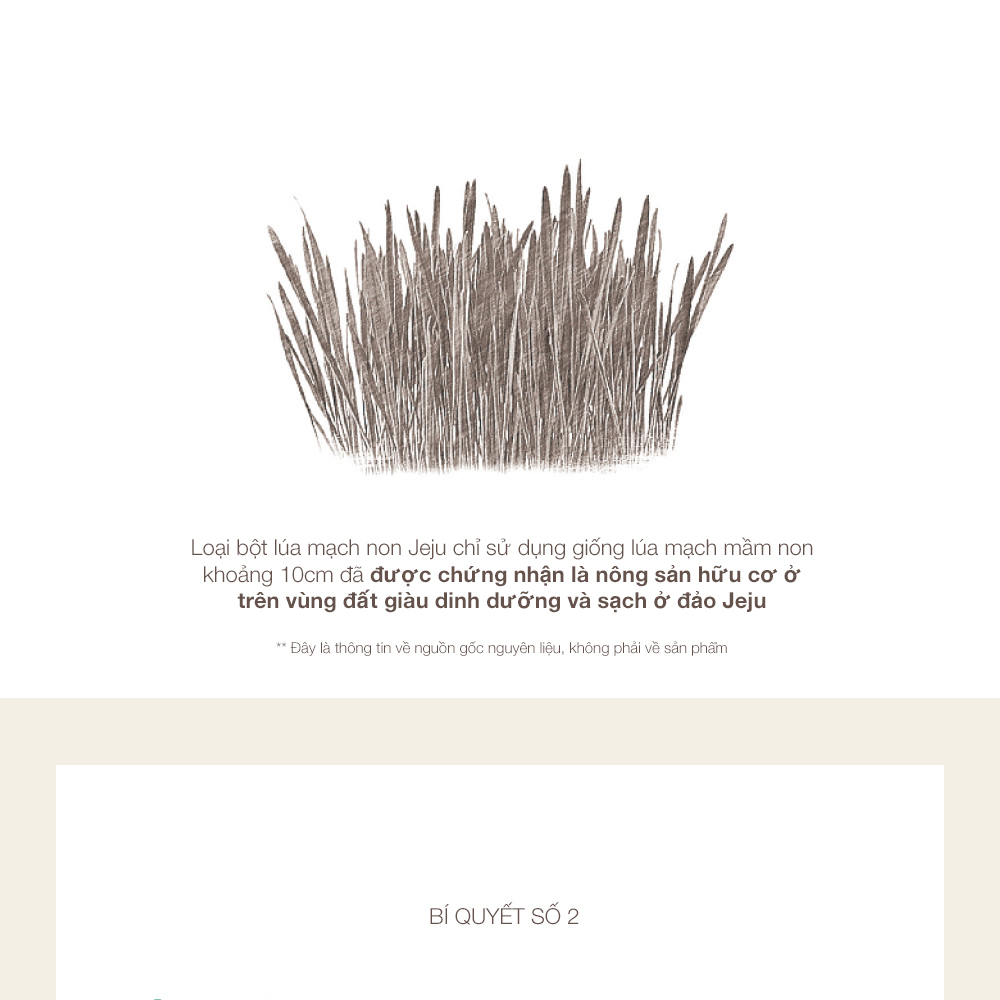 Bột Lúa Mạch Non Baeksagibyeol Jeju Barley Sprout Powder Nâng Cao Sức Khỏe, Cung Cấp Vitamin Khoáng Chất Hàn Quốc 100g