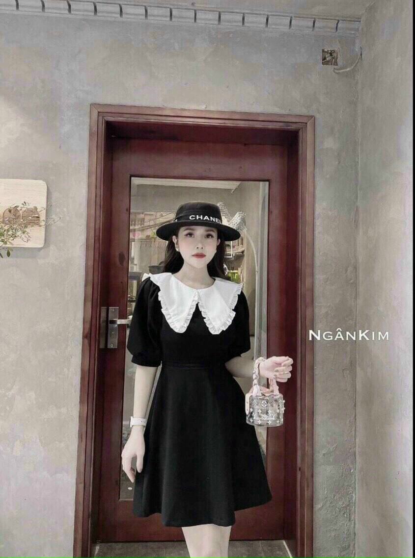 ĐẦM TIỂU THƯ TAY BÚP DÁNG VÁY XÒE PHỐI CỔ ÁO PETER BÈO MÀU TRẮNG SANG CHẢNH