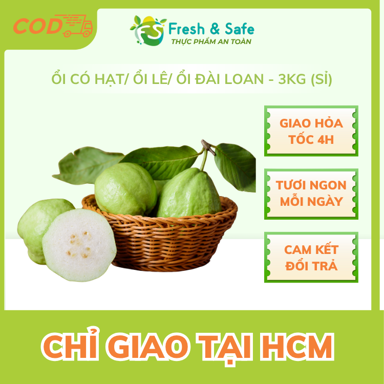 [Chỉ Giao HCM] Ổi có hạt/Ổi lê/Ổi Đài Loan - 3kg (sỉ)