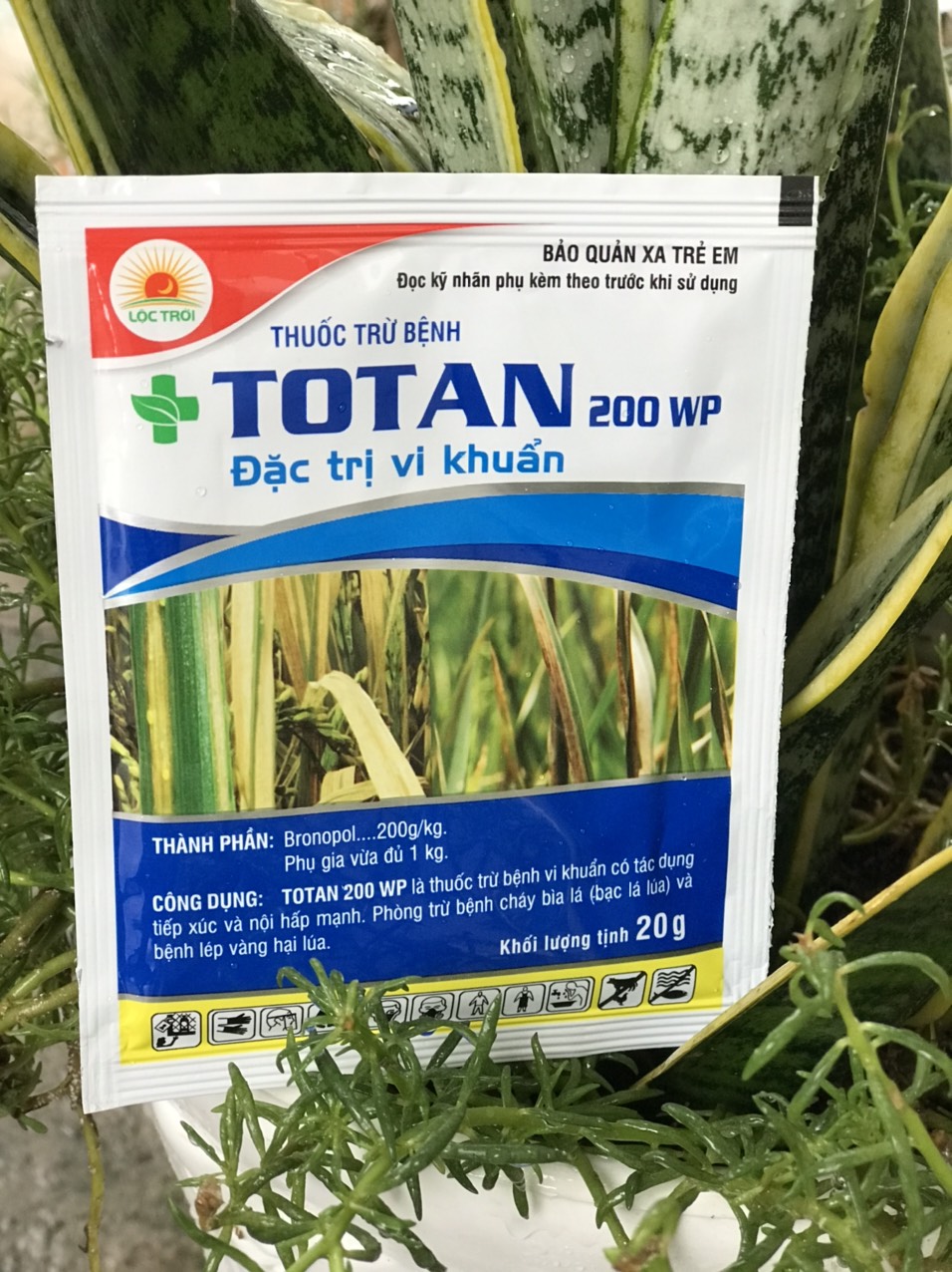 Totan đặc trừ vi khuẩn gói 20gr