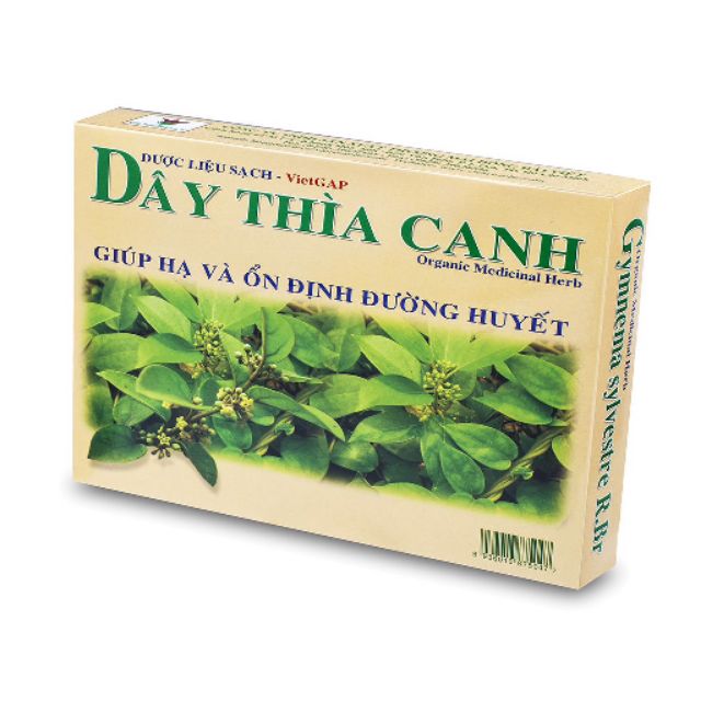 Trà dây thìa canh lá nguyên chất