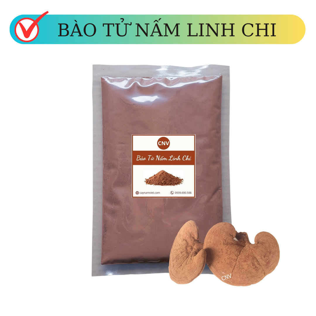 Bào tử nấm linh chi đỏ Việt Nam 100g (Sạch 99,9%) - Cây Nấm Việt