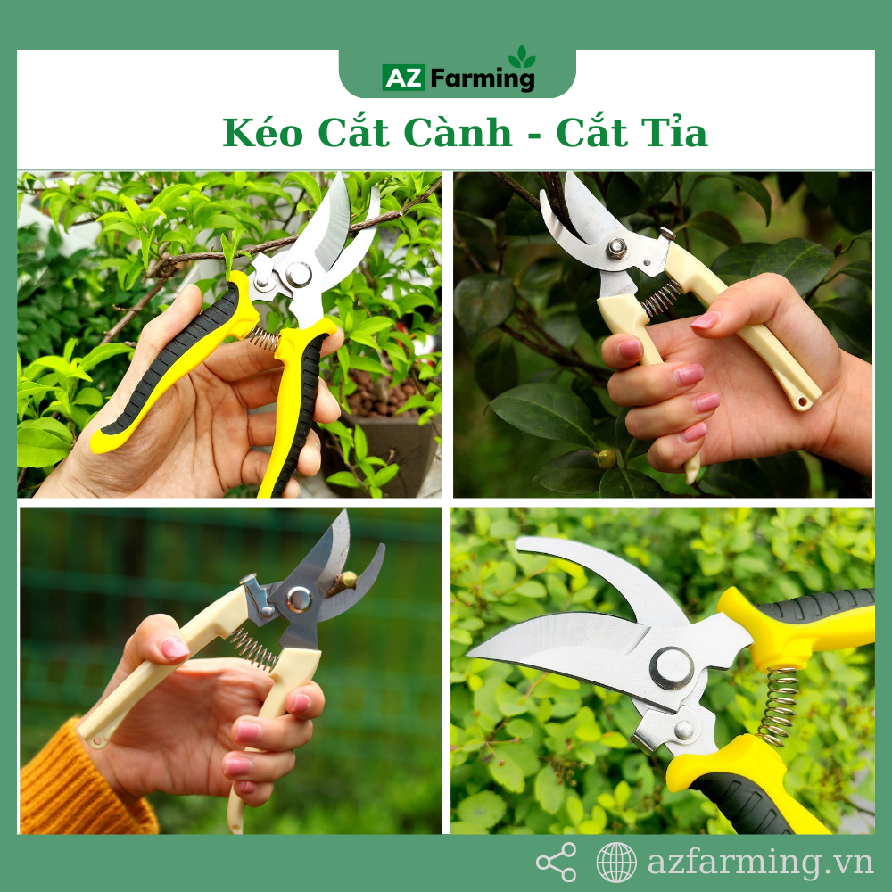 Kéo cắt cành cắt tỉa cây cảnh thép không rỉ - az farming