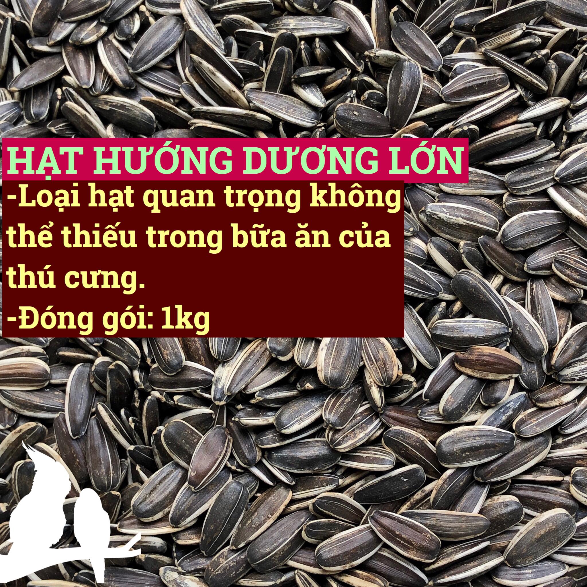1 kg - hạt hướng dương lớn cho vẹt -