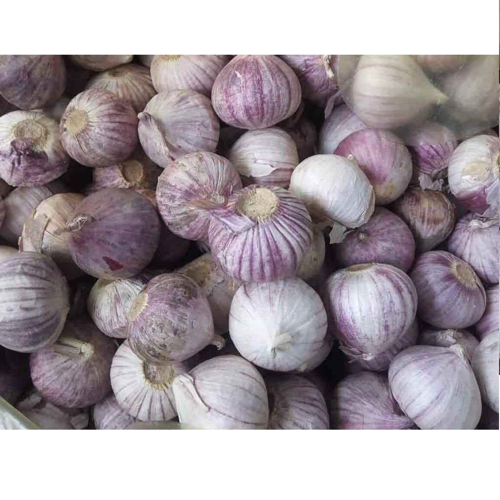 Tỏi một tép 3kg loại 1 việt nam, tỏi một nhánh đã chọn lọc