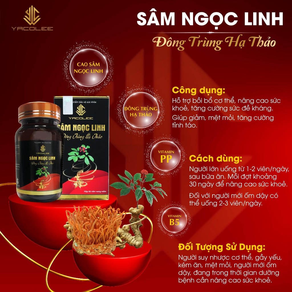Viên uống Sâm Ngọc Linh Đông Trùng Hạ Thảo Yacolee hộp 60 viên