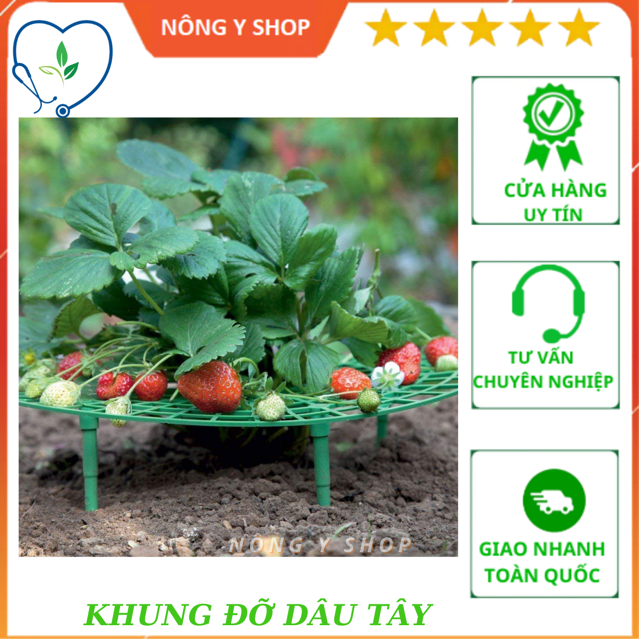 Khung đỡ bằng nhựa 30x30cm trồng dâu tây, bí, dưa hấu - khay hứng dâu tây