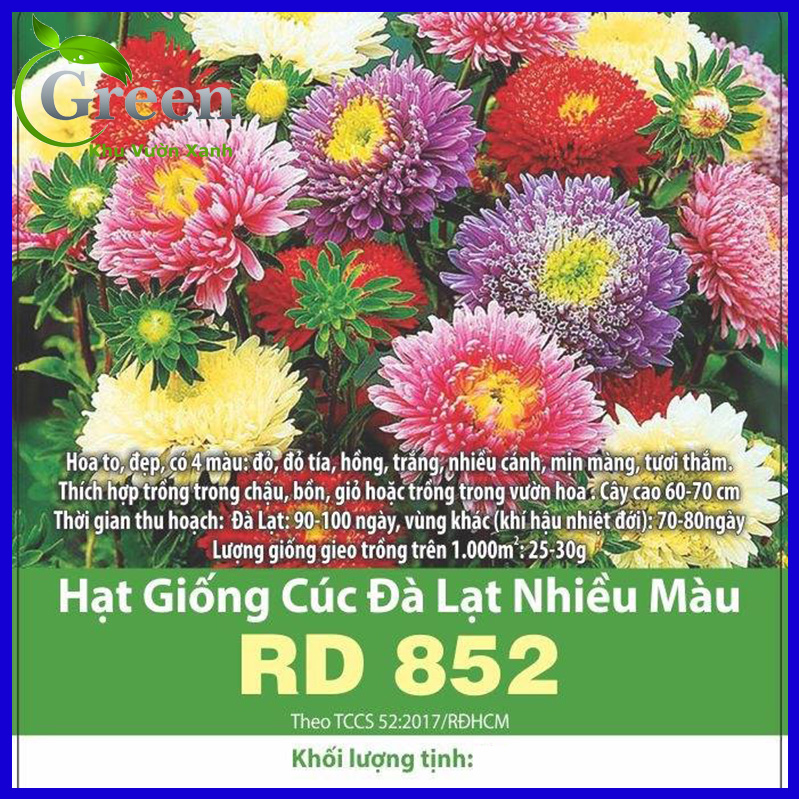 Hạt Giống Hoa Cúc Đà Lạt Nhiều Màu Mix