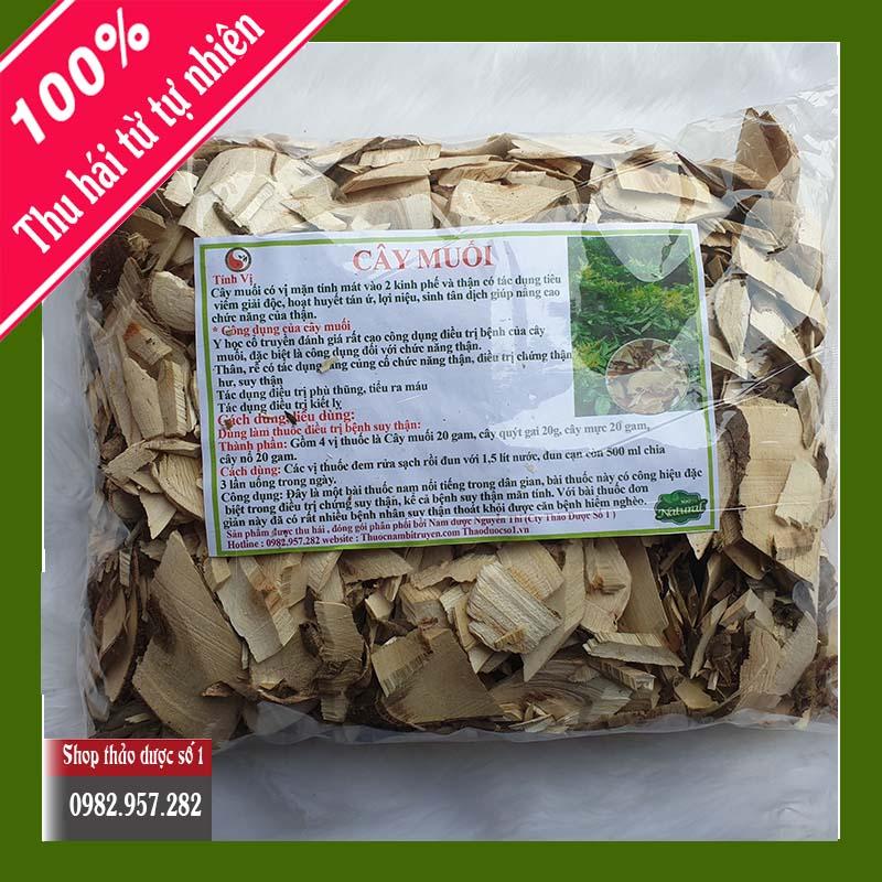 Cây muối , - 1kg Sản Phẩm CTY Thảo Dược Số 1
