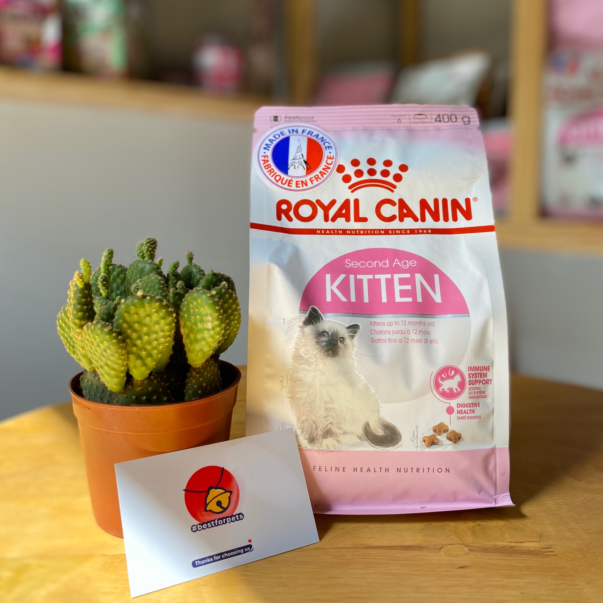 [Hoàn tiền 10%] Thức ăn cho mèo Royal Canin Kitten - nhập khẩu chính hãng