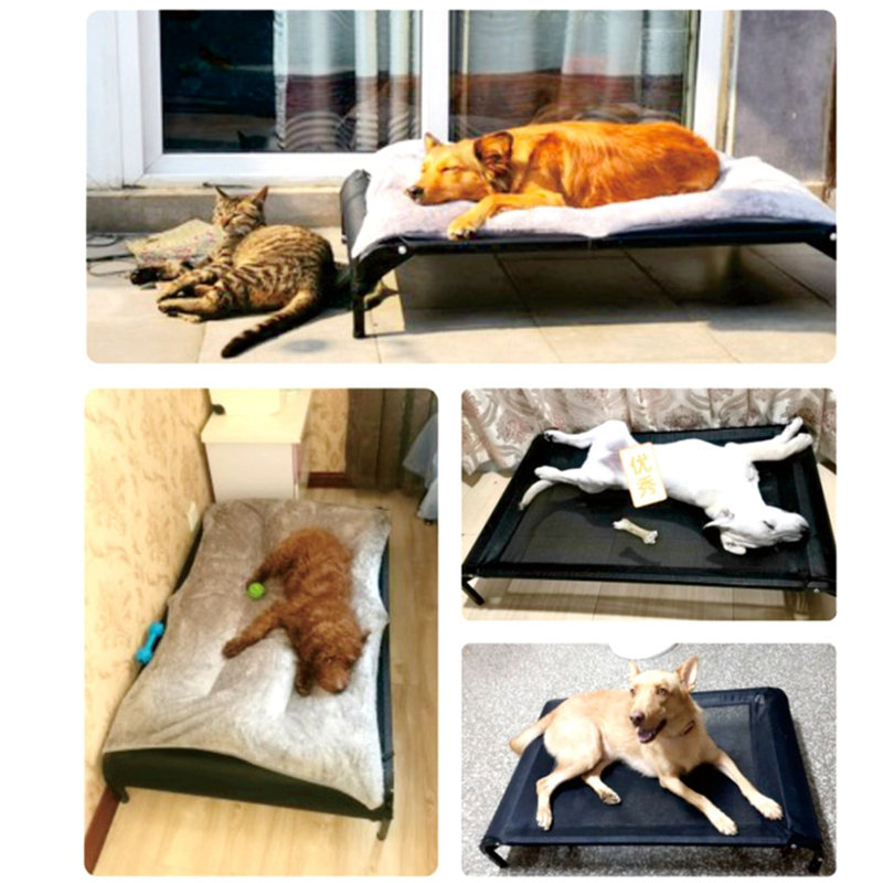 [HCM]giường lưới cao cấp thoáng khí chống Nấm da cho chó mèo-79102 3