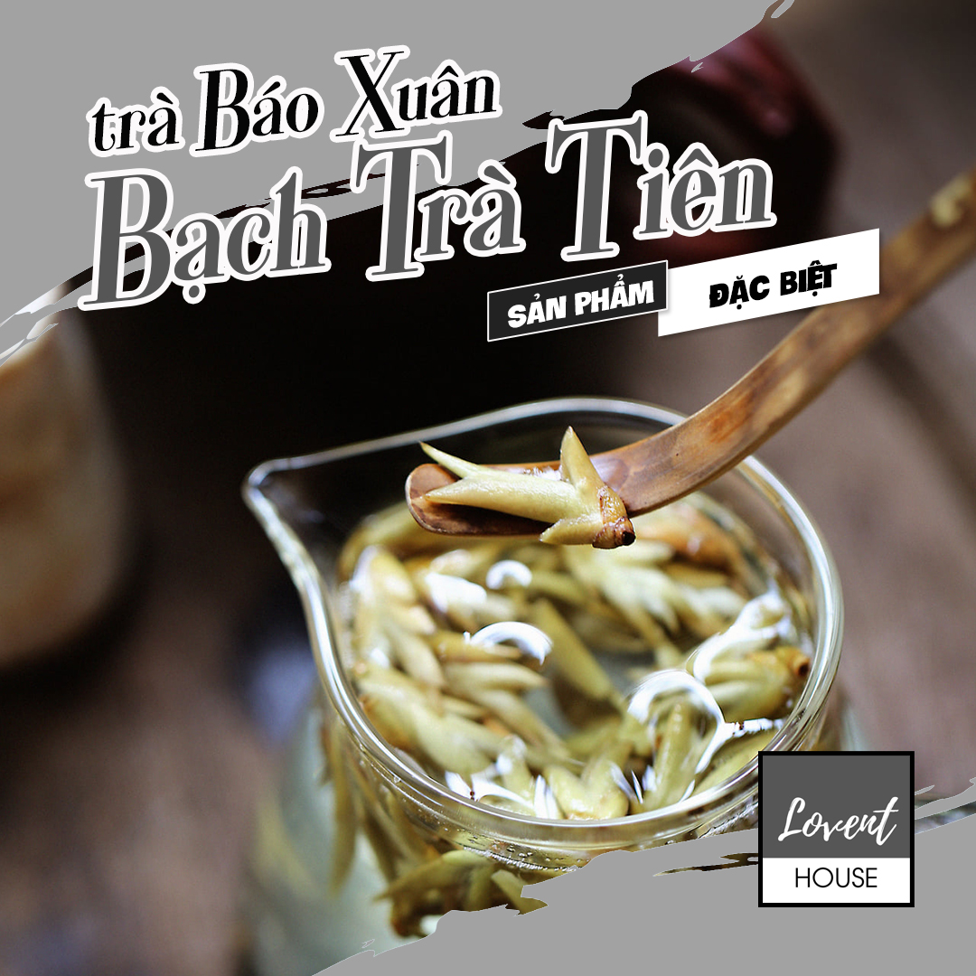 [HCM][Ảnh thật] 100G Trà BÁO XUÂN - BẠCH TRÀ TIÊN - Những búp trà báo hiệu mùa xuân về ngọt thơm thanh nhã [LOVENT HOUSE]