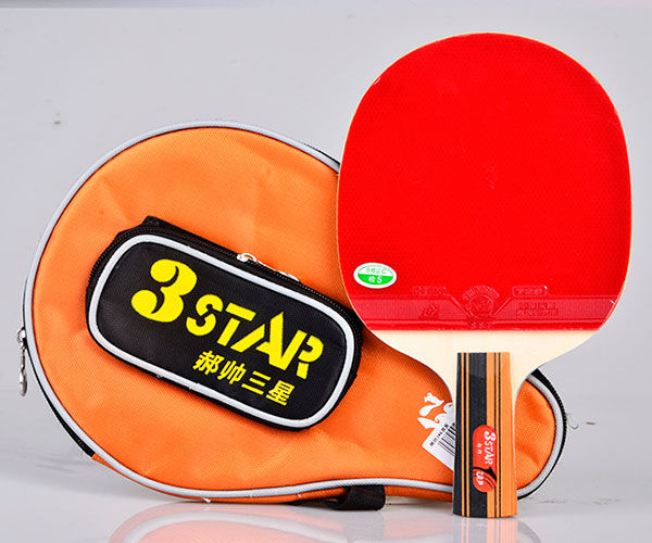 Vợt bóng bàn 729 3 star