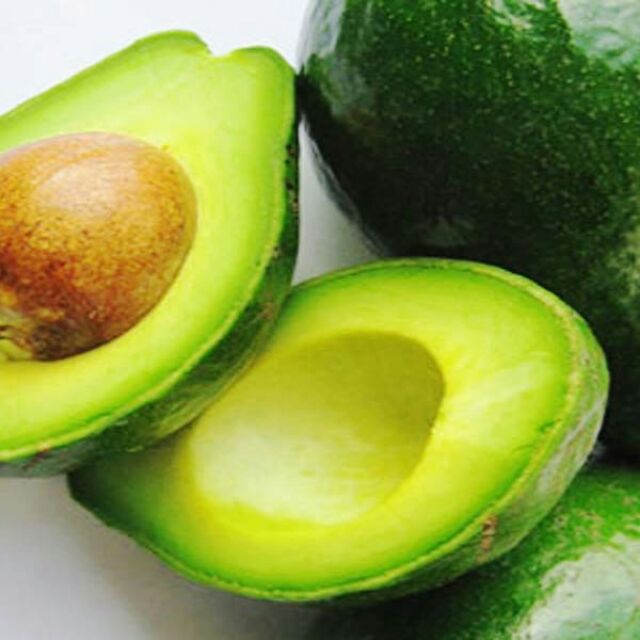 Cây bơ sáp da xanh, cây đẹp. Ra quả sau 6 tháng.