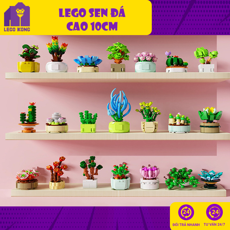 Đồ chơi lắp ráp lego chậu cây sen đá xếp hinh hoa xương rồng chậu cây giả làm quà sinh nhật decor phòng học bàn làm việc làm đẹp ngôi nhà