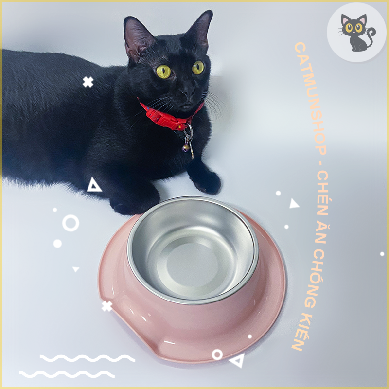 Chén ăn chống kiến dành cho thú cưng, chất liệu nhựa + inox, màu ngẫu nhiên, Shop Cat Mun