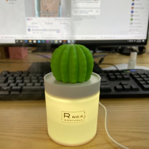Máy Phun Sương Tạo Ẩm Mini, Xông Khuếch Tán Tinh Dầu Nhỏ Xinh Xắn hình Cây Xương Rồng