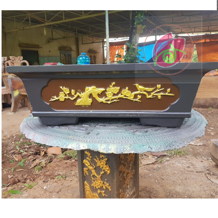 Sơn chậu màu Xám lông chuột hệ nước DOLPHIN 1kg