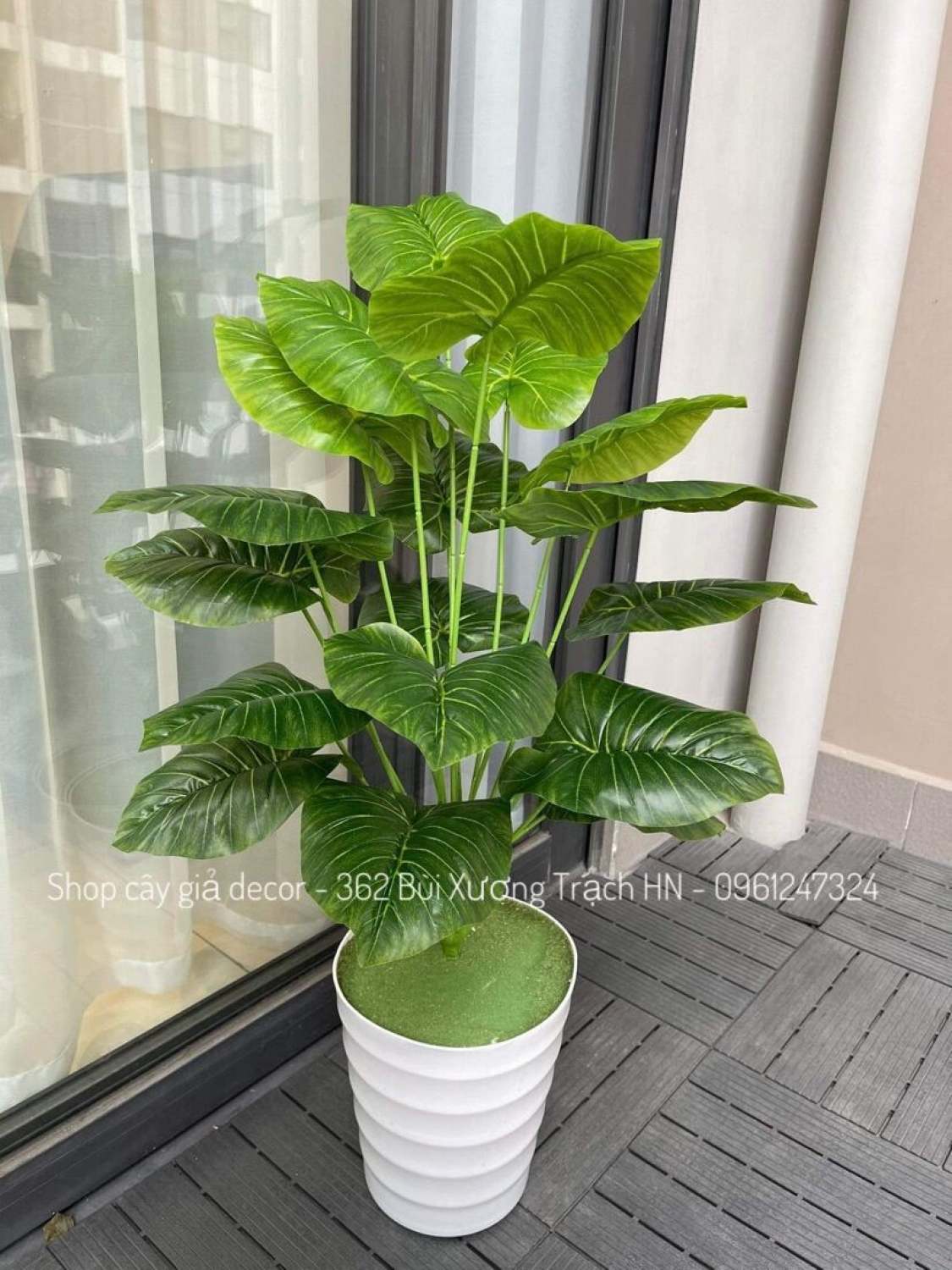 Cây giả mẫu mới cao 70-80 cm 18 lá, không kèm theo chậu - cây trầu bà viền xanh, cây