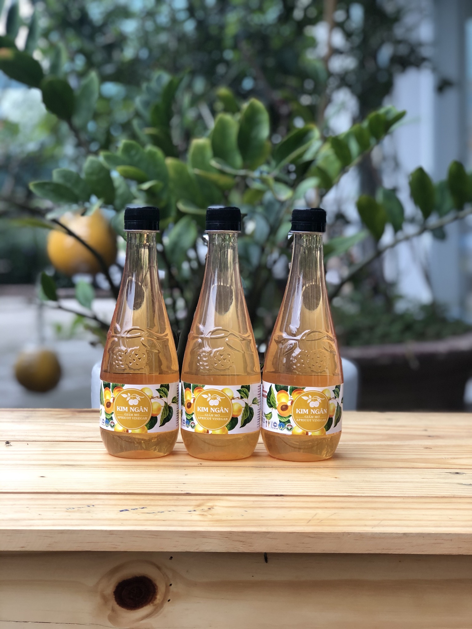 Giấm mơ kim ngân 450ml - lục ngạn, bắc giang