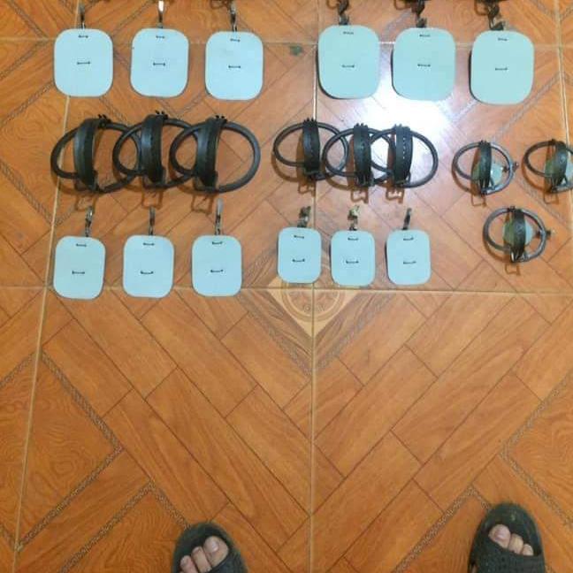 combo 10 bẫy cạm kiềng loại 12cm có bàn đạp sẵn giá siêu rẻ