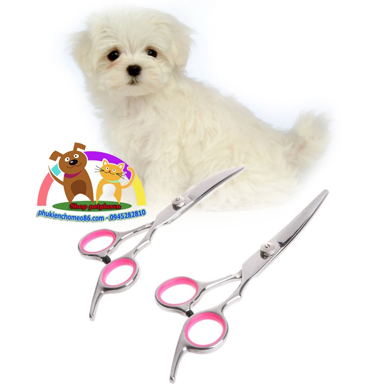Kéo cong cắt tỉa lông cho chó