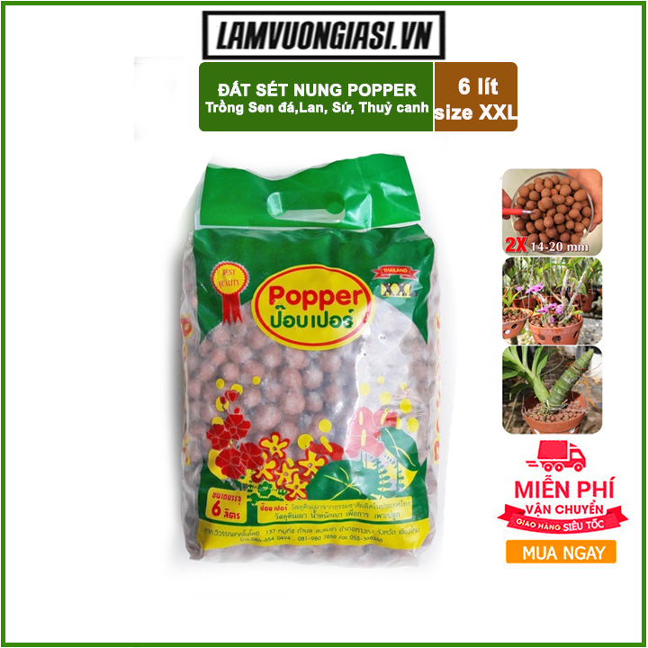 Bao 6 lít size XXL Đất sét nung Popper Thái Lan- Trồng sen đá, trồng lan, trồng cây sứ, thuỷ canh.