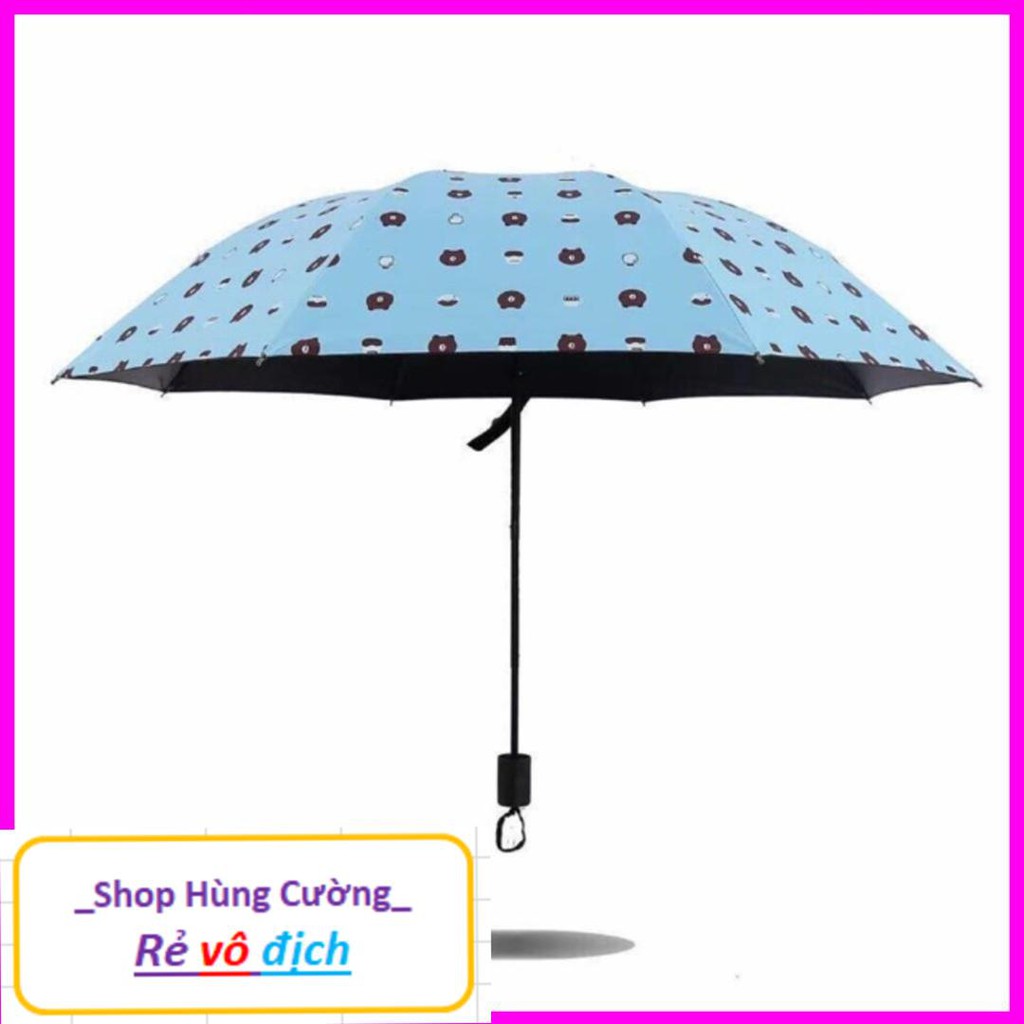 Ô, Dù in hình Gấu brown gấp gọn tiện dụng