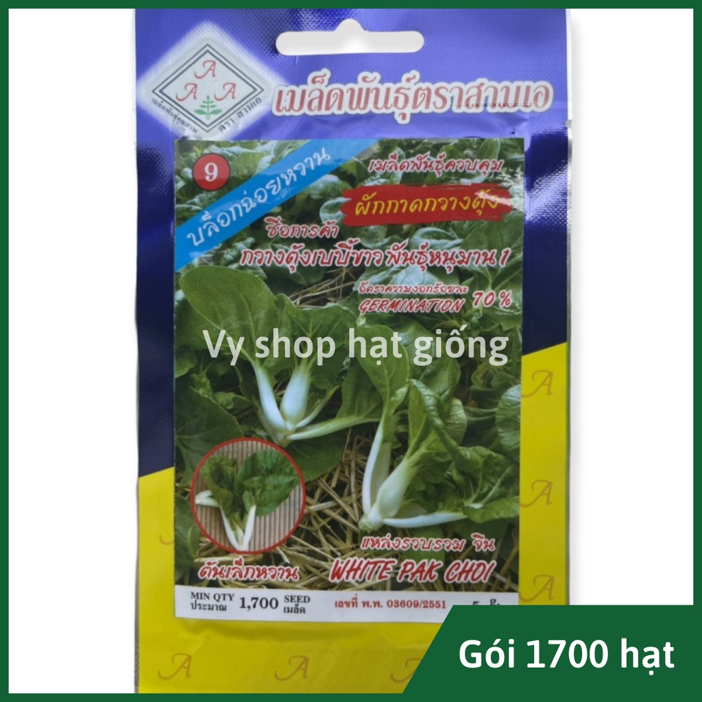 Hạt giống cải chip trắng pak choy Thái Lan gói 1700 hạt