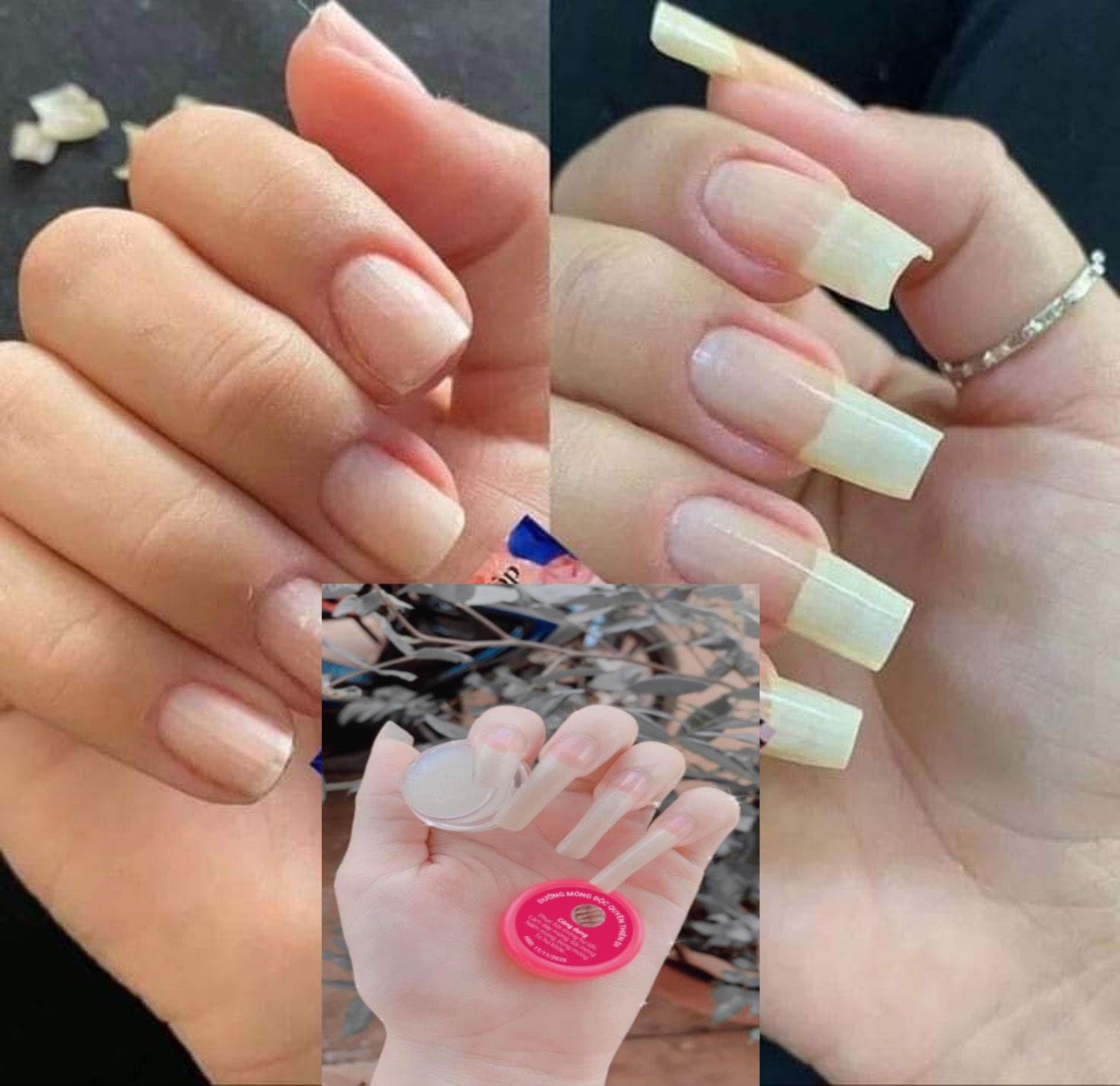 Combo 2 lọ dưỡng móng tay độc quyền thiên di giúp cứng móng nhanh dài bóng khoẻ phục hồi móng yếu hư tổn dễ gãy