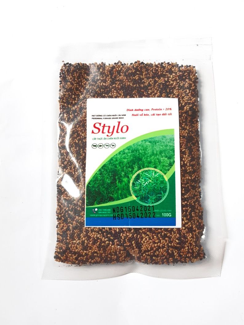 , Giống cỏ Stylo - giàu dinh dưỡng