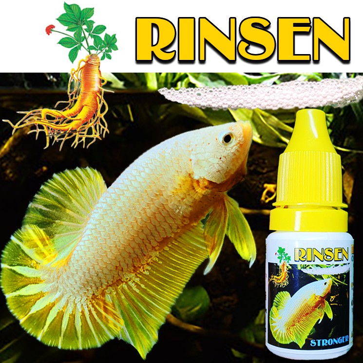 Sâm dưỡng cá rinsen - minsen - tạo ổ đẻ tăng độ sung cho cá)