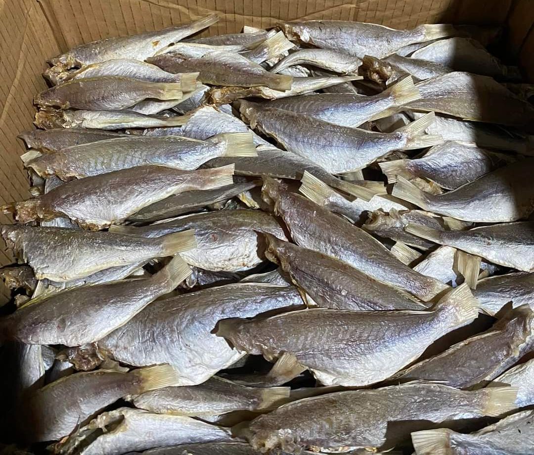 Khô lù đù, khô tươi ngon chất lượng, giá cả phải chăng, Khô Thoại Sơn