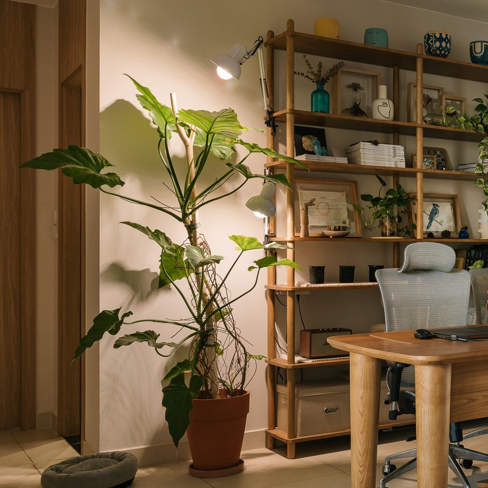 Đèn Quang Hợp LGL 20W, Đèn Trồng Cây Trong Nhà, Ánh Sáng Nắng Ấm Giúp Ra Ở Chồi Kiểng Lá & Ra Mầm Ở Cây Hoa, Sen Đá