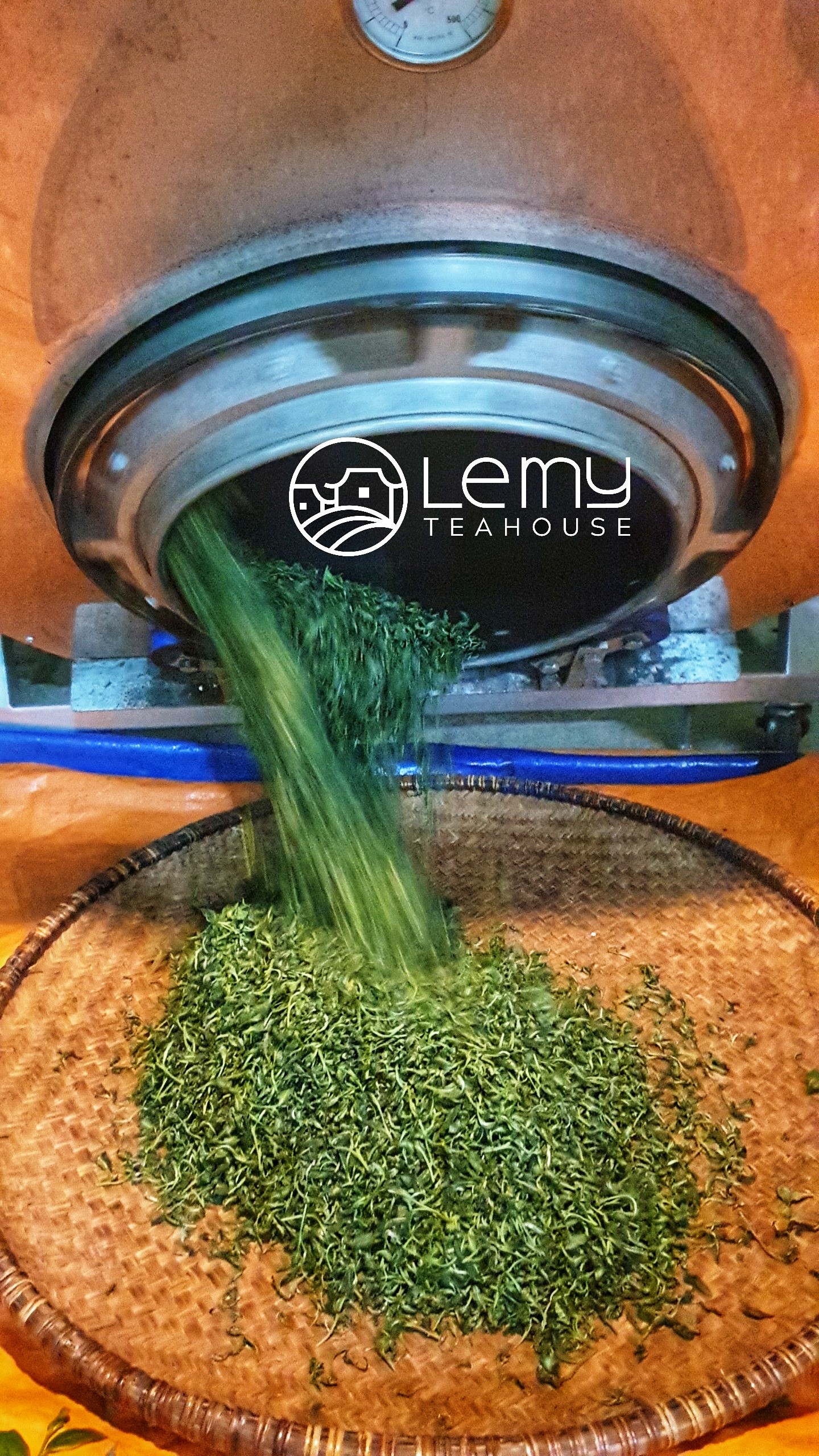 Trà Tân Cương Thái Nguyên 1 kg trà nõn tiêu chuẩn