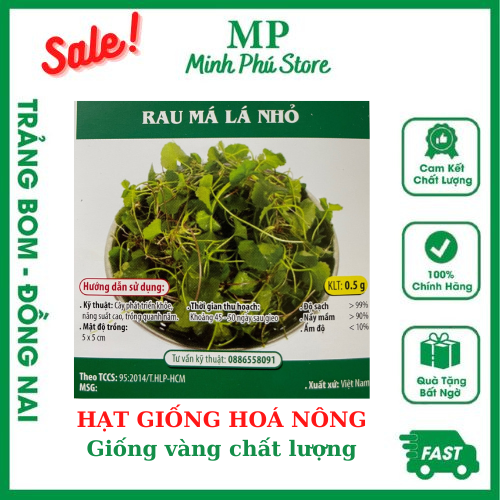 Rau Má Lá Nhỏ - 0.5g - Hạt Giống Hoá Nông Chịu Nhiệt Trồng Quanh Năm Nảy Mầm Tốt Năng Suất Cao