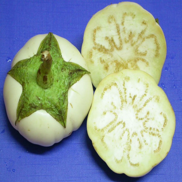 Hạt giống cà đĩa trắng giòn lucky seeds