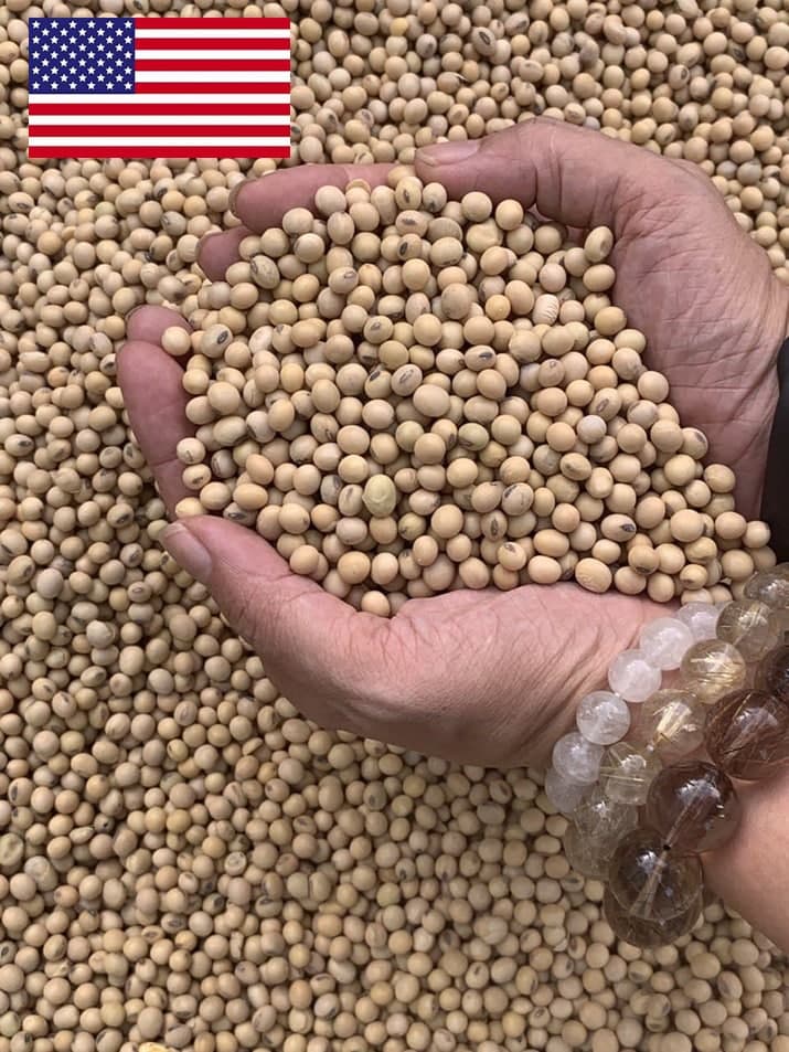 Orsafarm Đậu Nành Mỹ 500gram, 800gram, 1kg, 5kg – Đậu nành hạt, đậu nành có tác dụng gì? Đậu nành có tác dụng gì? đậu nành có tốt cho người tiểu đường? Đậu nành Mỹ loại 1 hạt đậu nành Mỹ