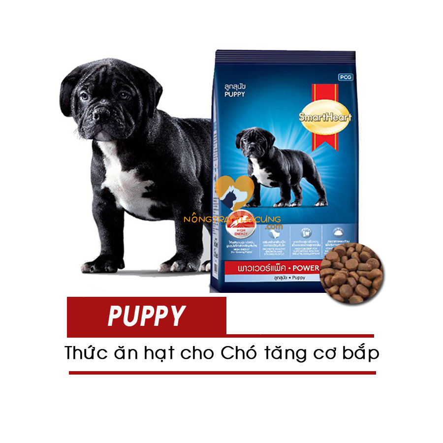 Thức ăn cho chó con smartheart power pack puppy- giúp tăng cơ bắp -