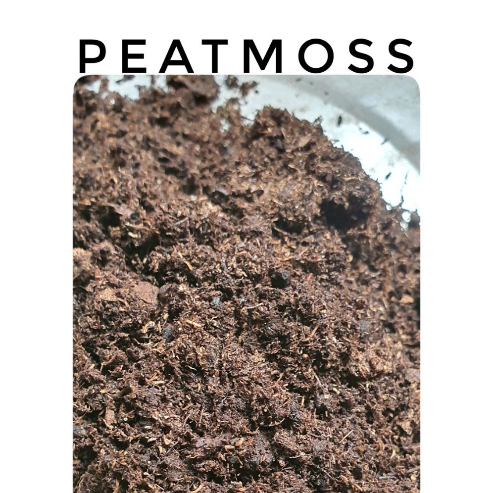 1kg Peatmoss Rêu mục Than bùn ( Peatman )