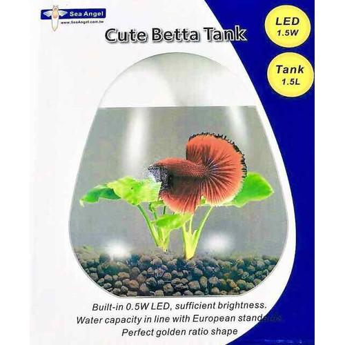 Hồ Cá Betta Mini Cute Betta Tank hình quả trứng