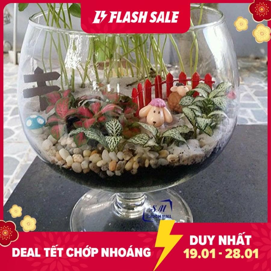 [HCM]Chậu trồng cây thủy canh ly thủy tinh có chân HCLC4 chậu thủy tinh nhỏ hồ nuôi cá Chậu Câu thủy tinh TẶNG KÈM SỎI