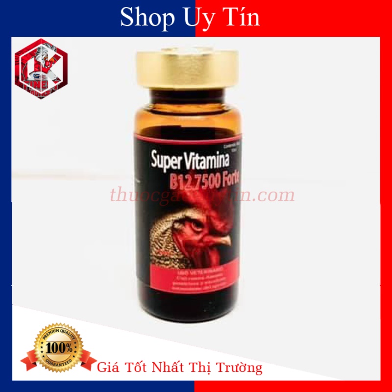 B12 7500 Fote Chích Chiến Kê Bo Lớn-Dẻo Dai-Lỳ Đòn-Sung Mạnh-Gan Lỳ